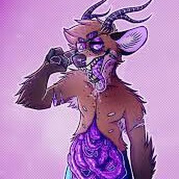 Meet your Posher, Parris - Picture 1 of 1